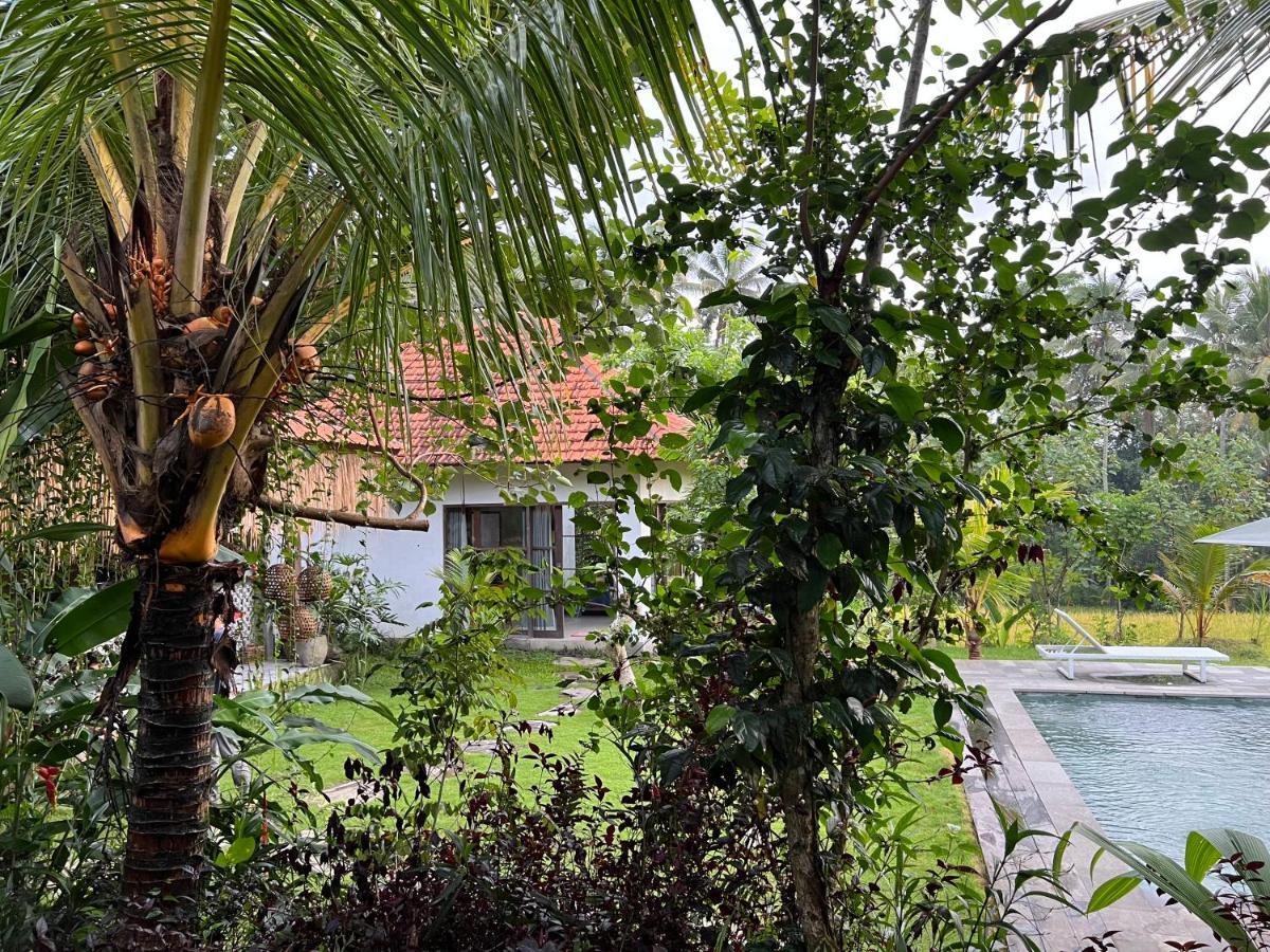 Uma Mupu Retreat Villa Payangan Eksteriør bilde