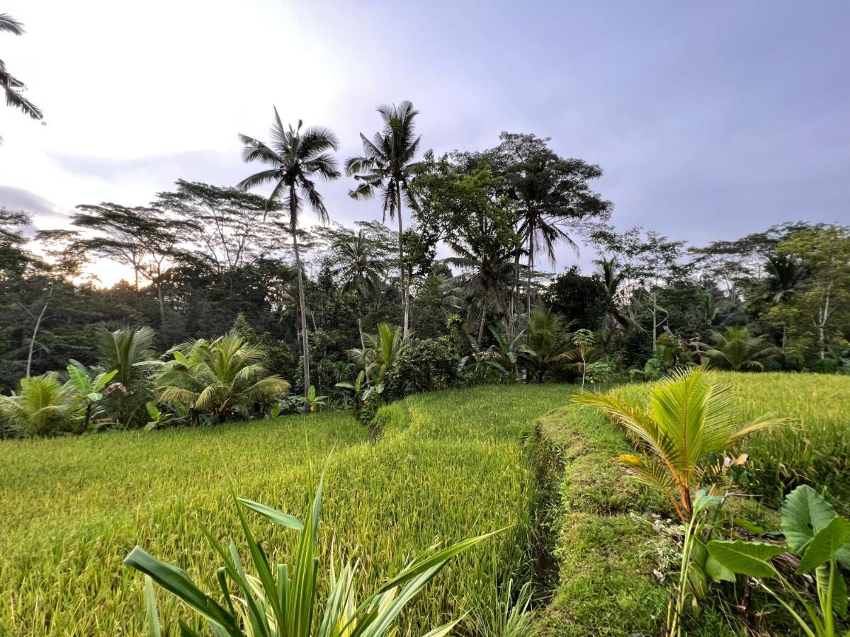 Uma Mupu Retreat Villa Payangan Eksteriør bilde