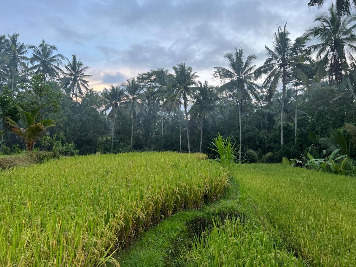 Uma Mupu Retreat Villa Payangan Eksteriør bilde